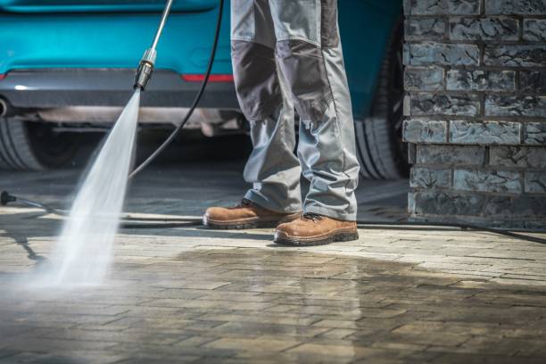 Best Soft Washing  in Trinity, TX