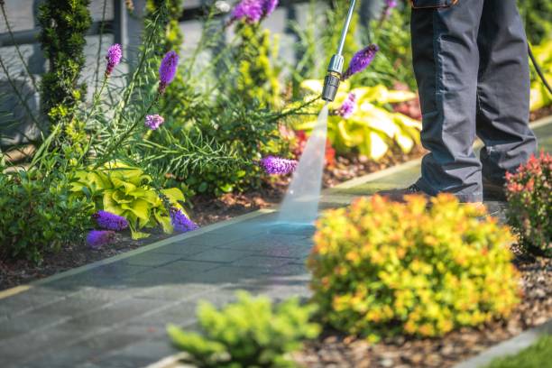 Best Patio and Deck Pressure Washing  in Trinity, TX
